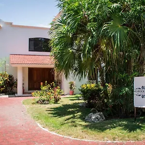 Bed & Breakfast Green Oasis Boutique, Playa del Carmen